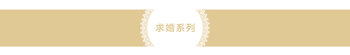 求婚系列